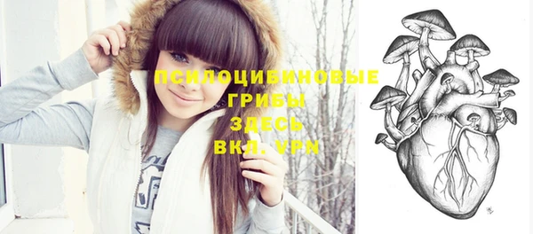 прущая мука Инта