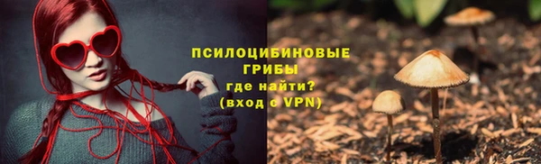 прущая мука Инта