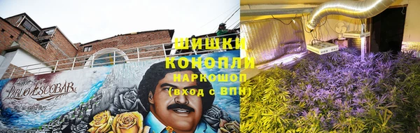 прущая мука Инта